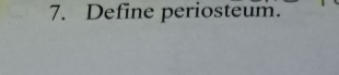 Define periosteum.