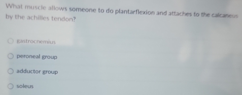 What muscle allows someone to do plantarflexion and attaches to the calcaneus
by the achilles tendon?
gastrocnemius
peroneal group
adductor group
soleus