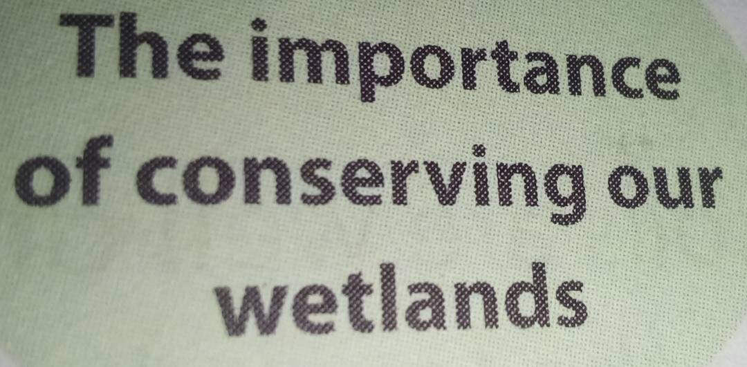 The importance 
of conserving our 
wetlands