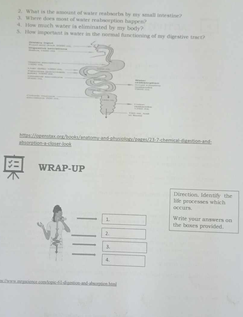 What is the amount of water reabsorbs by my small intestine? 
3. Where does most of water reabsorption happen? 
4. How much water is eliminated by my body? 
5. How important is water in the normal functioning of my digestive tract? 
https://openstax.org/books/anatomy-and-physiology/pages/23-7-chemical-digestion-and- 
absorption-a-closer-look 
WRAP-UP 
Direction. Identify the 
life processes which 
occurs. 
1. Write your answers on 
the boxes provided. 
2. 
3. 
4. 
ps://www.mrgscience.com/topic-61-digestion-and-absorption.html