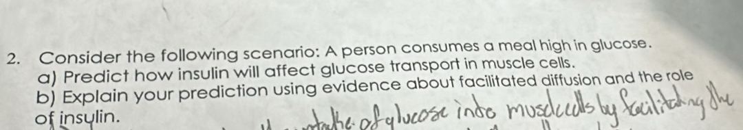 Consider the following scenario: A person consumes a meal high in glucose. 
a) Predict how insulin will affect glucose transport in muscle cells. 
b) Explain your prediction using evidence about facilitated diffusion and the role 
of insylin.