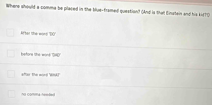 Where should a comma be placed in the blue-framed question? (And is that Einstein and his kid?!)
After the word 'DO'
before the word 'DAD'
after the word 'WHAT'
no comma needed