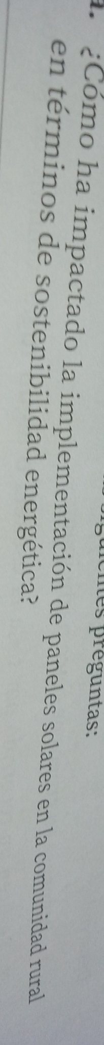 nes préguntas: 
¿Cómo ha impactado la implementación de paneles solares en la comunidad rural 
en términos de sostenibilidad energética?