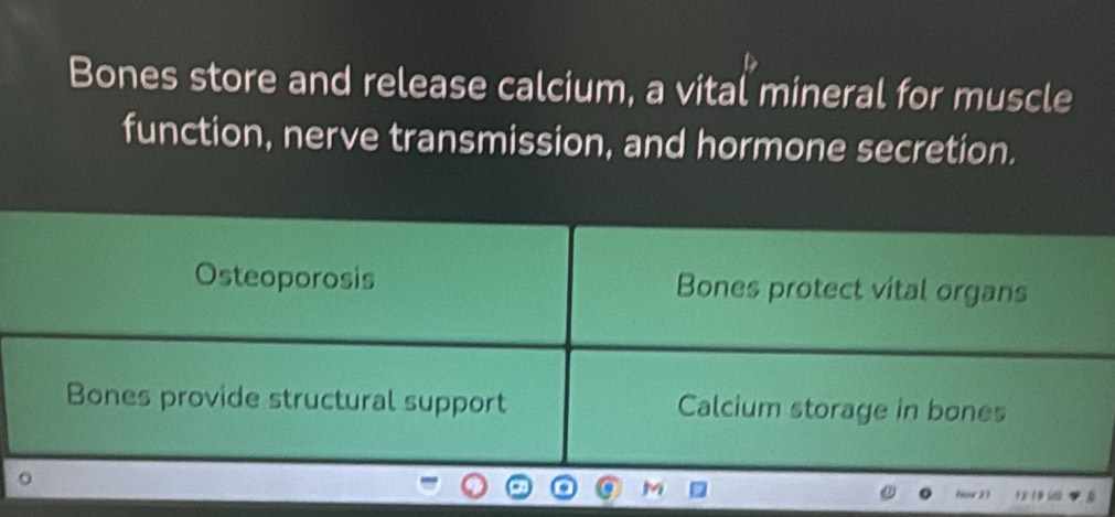 Bones store and release calcium, a vital mineral for muscle 
function, nerve transmission, and hormone secretion. 
Osteoporosis Bones protect vital organs 
Bones provide structural support Calcium storage in bones