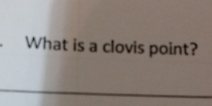 What is a clovis point? 
_ 
_