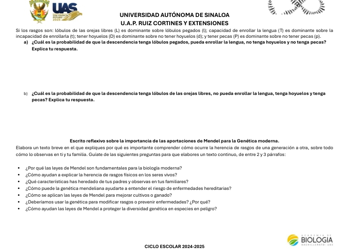 UAS
UNIVERSIDAD AUTÓNOMA DE SINALOA
V.A.P. RUIZ CORTINES Y EXTENSIONES
Si los rasgos son: lóbulos de las orejas libres (L) es dominante sobre lóbulos pegados (l); capacidad de enrollar la lengua (T) es dominante sobre la
incapacidad de enrollarla (t); tener hoyuelos (D) es dominante sobre no tener hoyuelos (d); y tener pecas (P) es dominante sobre no tener pecas (p).
a) ¿Cuál es la probabilidad de que la descendencia tenga lóbulos pegados, pueda enrollar la lengua, no tenga hoyuelos y no tenga pecas?
Explica tu respuesta.
b  Cuál es la probabilidad de que la descendencia tenga lóbulos de las orejas libres, no pueda enrollar la lengua, tenga hoyuelos y tenga
pecas? Explica tu respuesta.
Escrito reflexivo sobre la importancia de las aportaciones de Mendel para la Genética moderna.
Elabora un texto breve en el que expliques por qué es importante comprender cómo ocurre la herencia de rasgos de una generación a otra, sobre todo
cómo lo observas en ti y tu familia. Guíate de las siguientes preguntas para que elabores un texto continuo, de entre 2 y 3 párrafos:
¿Por qué las leyes de Mendel son fundamentales para la biología moderna?
¿Cómo ayudan a explicar la herencia de rasgos físicos en los seres vivos?
¿Qué características has heredado de tus padres y observas en tus familiares?
¿Cómo puede la genética mendeliana ayudarte a entender el riesgo de enfermedades hereditarias?
¿Cómo se aplican las leyes de Mendel para mejorar cultivos o ganado?
¿Deberíamos usar la genética para modificar rasgos o prevenir enfermedades? ¿Por qué?
¿Cómo ayudan las leyes de Mendel a proteger la diversidad genética en especies en peligro?
BIOLOGIA
CICLO ESCOLAR 2024-2025