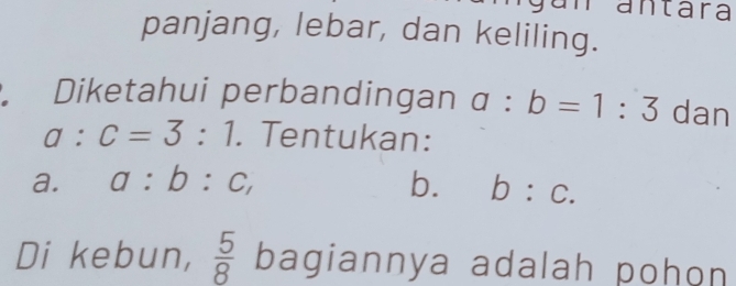 antára 
panjang, lebar, dan keliling. 
Diketahui perbandingan a:b=1:3 dan
a:c=3:1. Tentukan: 
a. a:b:c, b. b:c. 
Di kebun,  5/8  bagiannya adalah pohon