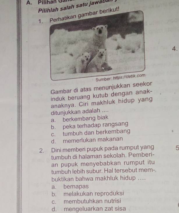 Pilihan Gal
Pilihlah salah satu jawabal
1. Perhatikan gambar berikut!
4.
Gambar di atas menunjukkan seekor
induk beruang kutub dengan anak-
anaknya. Ciri makhluk hidup yang
ditunjukkan adalah ....
a. berkembang biak
b. peka terhadap rangsang
c. tumbuh dan berkembang
d. memerlukan makanan
2. Dini memberi pupuk pada rumput yang 5
tumbuh di halaman sekolah. Pemberi-
an pupuk menyebabkan rumput itu
tumbuh lebih subur. Hal tersebut mem-
buktikan bahwa makhluk hidup ....
a. bernapas
b. melakukan reproduksi
c. membutuhkan nutrisi
d. mengeluarkan zat sisa