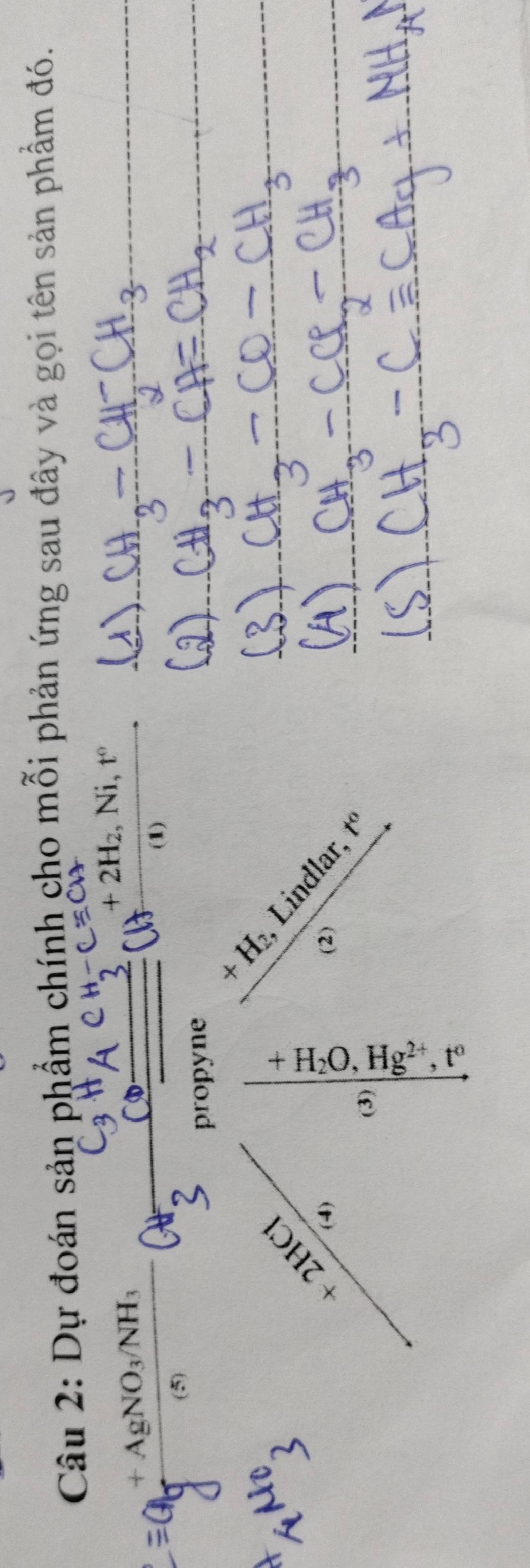 Dự đoán sản phẩm chính cho mỗi phản ứng sau đây và gọi tên sản phẩm đó.
+2H_2, Ni, t°
+AgNO_3/NH_3
(1) 
(5) 
propyne 
+ 
H₂, Lindlar f
+2HCl (4) 
① 

(3)