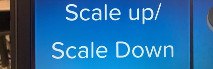 Scale up/ 
Scale Down