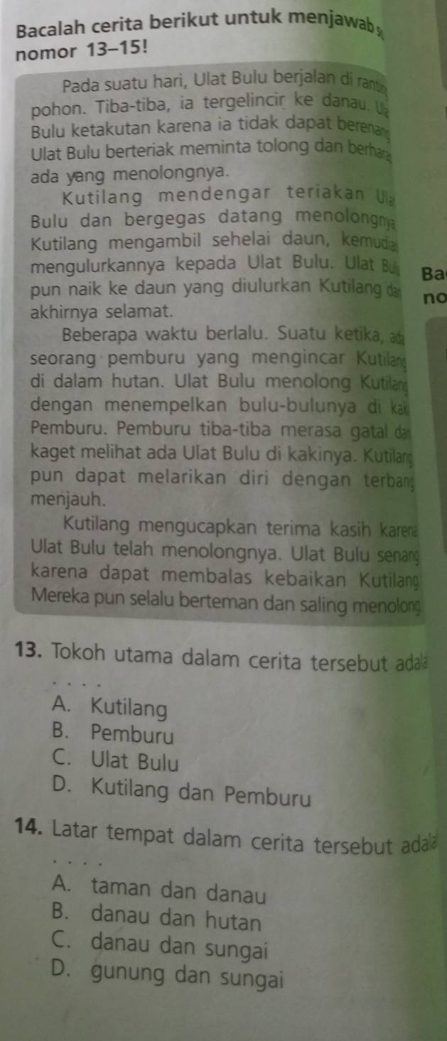 Bacalah cerita berikut untuk menjawab
nomor 13-15!
Pada suatu hari, Ulat Bulu berjalan di rant
pohon. Tiba-tiba, ia tergelincir ke danau. U
Bulu ketakutan karena ia tidak dapat berena
Ulat Bulu berteriak meminta tolong dan berhar
ada yang menolongnya.
Kutilang mendengar teriakan U
Bulu dan bergegas datang menolongn
Kutilang mengambil sehelai daun, kemuda
mengulurkannya kepada Ulat Bulu. Ulat B Ba
pun naik ke daun yang diulurkan Kutilang da no
akhirnya selamat.
Beberapa waktu berlalu. Suatu ketika, a
seorang pemburu yang mengincar Kutilan
di dalam hutan. Ulat Bulu menolong Kutilan
dengan menempelkan bulu-bulunya di ka 
Pemburu. Pemburu tiba-tiba merasa gatal da
kaget melihat ada Ulat Bulu di kakinya. Kutilang
pun dapat melarikan diri dengan terbang 
menjauh.
Kutilang mengucapkan terima kasih karena
Ulat Bulu telah menolongnya. Ulat Bulu senang
karena dapat membalas kebaikan Kutilang
Mereka pun selalu berteman dan saling menolong
13. Tokoh utama dalam cerita tersebut ada
A. Kutilang
B. Pemburu
C. Ulat Bulu
D. Kutilang dan Pemburu
14. Latar tempat dalam cerita tersebut ada
A. taman dan danau
B. danau dan hutan
C. danau dan sungai
D. gunung dan sungai