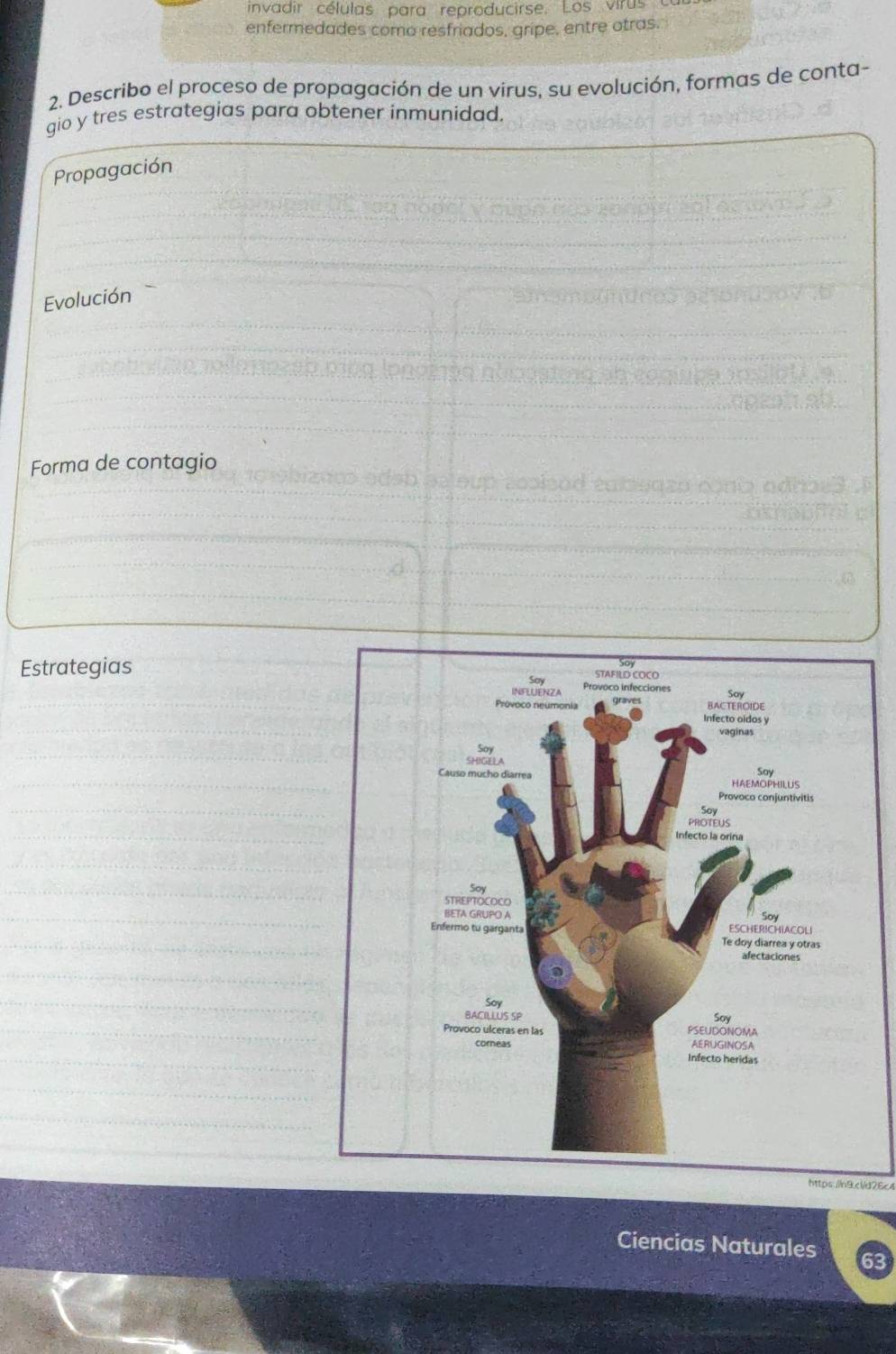 invadir células para reproducirse. Los virus 
enfermedades como resfriados, gripe, entre otras. 
2. Describo el proceso de propagación de un virus, su evolución, formas de conta- 
gio y tres estrategias para obtener inmunidad. 
Propagación 
Evolución 
Forma de contagio 
Estrategias 
https:/n9c1d2Ec 
Ciencias Naturales 63
