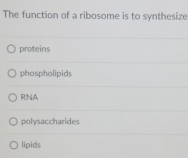 The function of a ribosome is to synthesize
proteins
phospholipids
RNA
polysaccharides
lipids