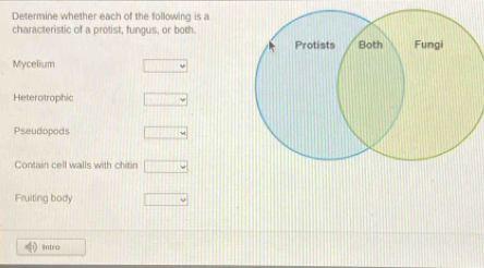 Determine whether each of the following is a 
characteristic of a protist, fungus, or both. 
Mycelium 
Heterotrophic 
Pseudopods 
Contain cell walls with chit in 
Fruiting body 
Intro