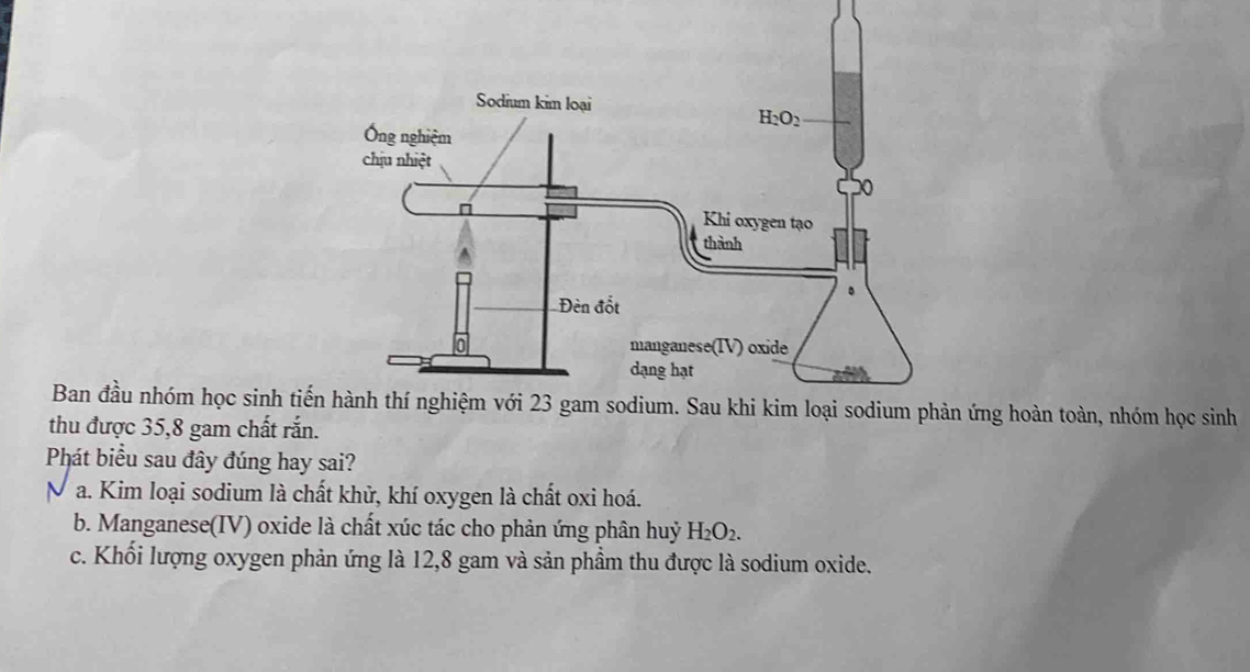 Ban đầu nhóm học sinh tiế ứng hoàn toàn, nhóm học sinh
thu được 35,8 gam chất rắn.
Phát biểu sau đây đúng hay sai?
a. Kim loại sodium là chất khử, khí oxygen là chất oxi hoá.
b. Manganese(IV) oxide là chất xúc tác cho phản ứng phân huỷ H_2O_2.
c. Khối lượng oxygen phản ứng là 12,8 gam và sản phầm thu được là sodium oxide.