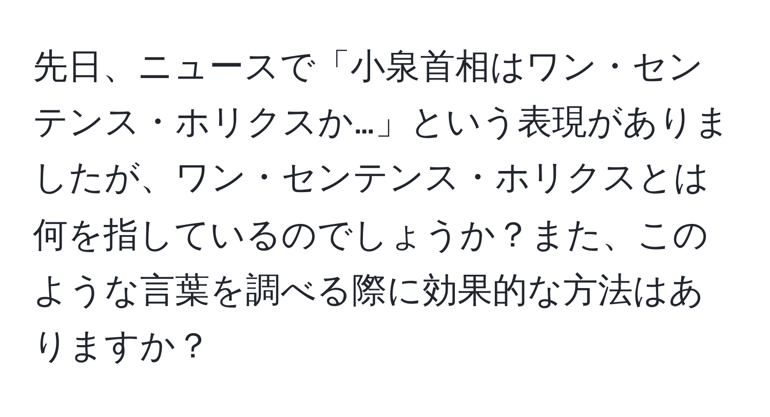 先日、ニュースで「小泉首相はワン・センテンス・ホリクスか…」という表現がありましたが、ワン・センテンス・ホリクスとは何を指しているのでしょうか？また、このような言葉を調べる際に効果的な方法はありますか？