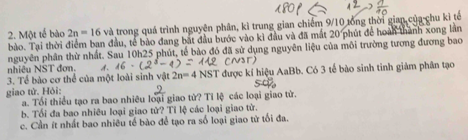 Một tế bào 2n=16va trong quá trình nguyên phân, kì trung gian chiếm 9/10 tổng thời gian của chu kì tế 
bào. Tại thời điểm ban đầu, tế bào đang bắt đầu bước vào kì đầu và đã mất 20 phút để hoàn thành xong lần 
nguyên phân thừ nhất. Sau 10h25 phút, tế bào đó đã sử dụng nguyên liệu của môi trường tương đương bao 
nhiêu NST đơn. 
3. Tế bào cơ thể của một loài sinh vật 2n=4NST được kí hiệu AaBb. Có 3 tế bào sinh tinh giảm phân tạo 
giao tử. Hỏi: 
a. Tối thiều tạo ra bao nhiêu loại giao tử? Tỉ lệ các loại giao tử. 
b. Tối đa bao nhiêu loại giao tử? Tỉ lệ các loại giao tử. 
c. Cần ít nhất bao nhiêu tế bào để tạo ra số loại giao tử tối đa.