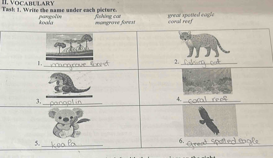 VOCABULARY 
Task 1. Write the name under each picture. 
pangolin fishing cat great spotted eagle 
koala mangrove forest coral reef