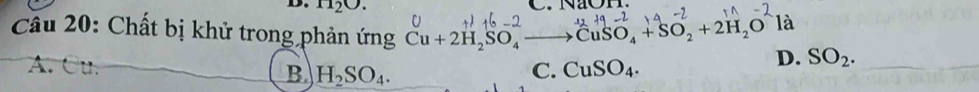 H_2O. 
là
Câu 20: Chất bị khử trong phản ứng Cu+2H_2SO_4to CuSO_4+SO_2+2H_2O D. SO_2.
A. u
B. H_2SO_4. C. CuSO_4.