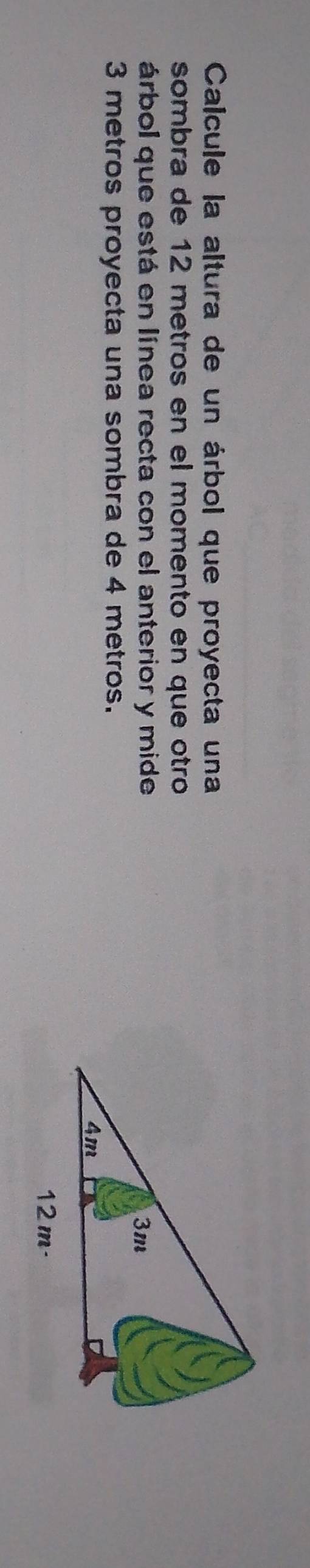 Calcule la altura de un árbol que proyecta una 
sombra de 12 metros en el momento en que otrão 
árbol que está en línea recta con el anterior y mide
3 metros proyecta una sombra de 4 metros.