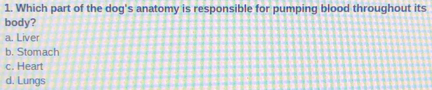 Which part of the dog's anatomy is responsible for pumping blood throughout its
body?
a. Liver
b. Stomach
c. Heart
d. Lungs