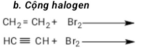 Cộng halogen
CH_2=CH_2+Br_2
HCequiv CH+Br_2-