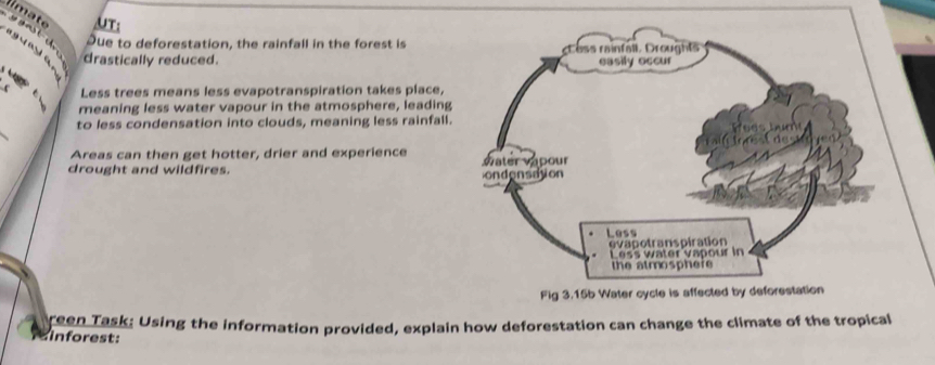 imate AT: 
y gnst c. 
Due to deforestation, the rainfall in the forest is 
a a 
drastically reduced. 

Less trees means less evapotranspiration takes place, 
meaning less water vapour in the atmosphere, leading 
to less condensation into clouds, meaning less rainfall. 
Areas can then get hotter, drier and experience 
drought and wildfires. 
reen Task: Using the information provided, explain how deforestation can change the climate of the tropical 
sinforest: