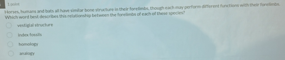 Horses, humans and bats all have similar bone structure in their forelimbs, though each may perform different functions with their forelimbs.
Which word best describes this relationship between the forelimbs of each of these species?
vestigial structure
index fossils
homology
analogy