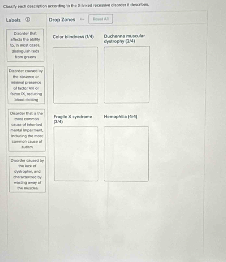 Classify each description according to the X -linked recessive disorder it describes. 
Labels ① Drop Zones ← Resot All 
Disorder that 
affects the ability Color blindness (1/4) Duchenne muscular 
to, in most cases, dystrophy (2/4)
distinguish reds 
from greens 
Disorder caused by 
the absence or 
minimal presence 
of factor VIII or 
factor IX, reducing 
blood clotting 
Disorder that is the 
most common Fragile X syndrome Hemophilia (4/4)
cause of inherited (3/4)
mental impairment. 
including the most 
common cause of 
autism 
Disorder caused by 
the lack of 
dystrophin, and 
characterized by 
wasting away of 
the muscles