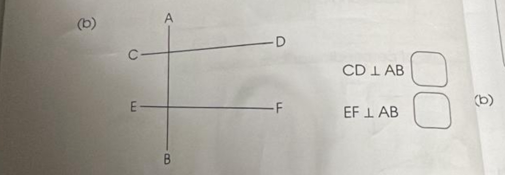 CD⊥ AB
(b)
EF⊥ AB