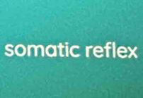 somatic reflex