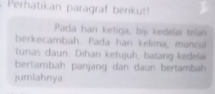 Perhatikan paragraf berikut! 
Pada han ketiga, biji kedelai téla 
berkecambah. Pada harı kelima, muncul 
tunas daun. Dihari ketujuh, batang kedelai 
bertambah panjang dan daun bertambah 
Jumiahnya