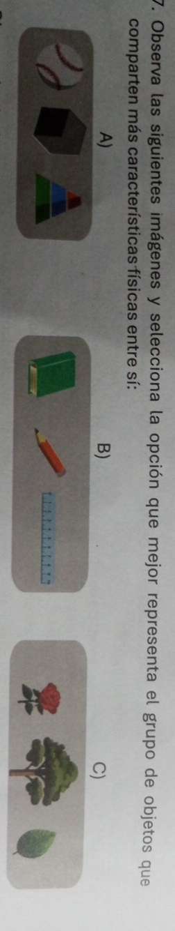 Observa las siguientes imágenes y selecciona la opción que mejor representa el grupo de objetos que 
comparten más características físicas entre sí: 
A) 
B) 
C)