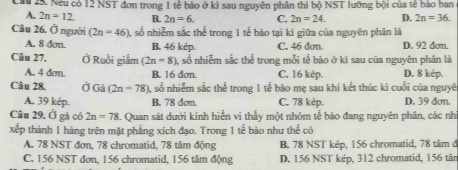 Cầu 2s. Nếu có 12 NST đơn trong 1 tế bào ở kỉ sau nguyên phân thì bộ NST lưỡng bội của tế bảo ban
A. 2n=12. B. 2n=6. C. 2n=24. D. 2n=36. 
Câu 26. Ở người (2n=46) 0, số nhiễm sắc thể trong 1 tế bào tại kì giữa của nguyên phân là
A. 8 đơn. B. 46 kép. C. 46 dơn. D. 92 đơn.
Câu 27. Ở Ruồi giắm (2n=8) 0, số nhiễm sắc thể trong mỗi tế bảo ở kì sau của nguyên phân là
A. 4 đơn. B. 16 đơn. C. 16 kép. D. 8 kép.
Câu 28. Ở Gà (2n=78) 0, số nhiễm sắc thể trong 1 tế bào mẹ sau khi kết thúc kì cuối của nguyê
A. 39 kép. B. 78 đơn. C. 78 kép. D. 39 đơn.
Câu 29. Ở gà có 2n=78. Quan sát dưới kính hiển vi thấy một nhóm tế bào đang nguyên phân, các nh
xếp thành 1 hàng trên mặt phẳng xích đạo. Trong 1 tế bào như thế có
A. 78 NST đơn, 78 chromatid, 78 tâm động B. 78 NST kép, 156 chromatid, 78 tâm đ
C. 156 NST đơn, 156 chromatid, 156 tâm động D. 156 NST kép, 312 chromatid, 156 tân