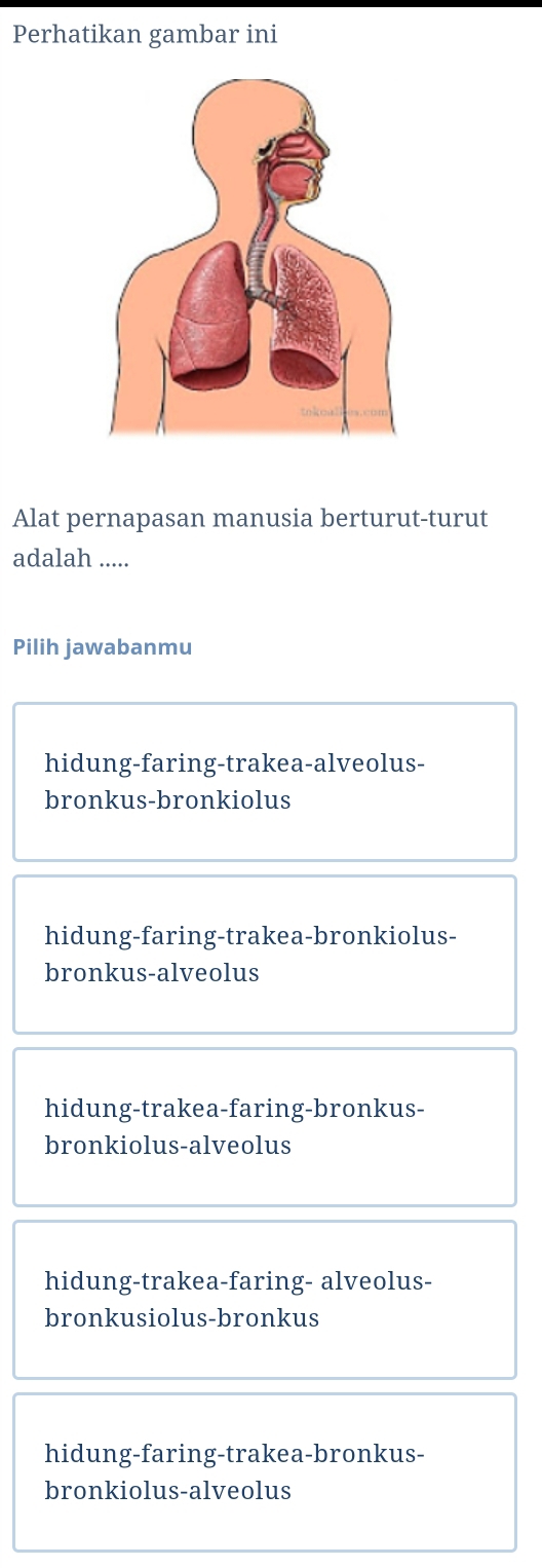 Perhatikan gambar ini
Alat pernapasan manusia berturut-turut
adalah .....
Pilih jawabanmu
hidung-faring-trakea-alveolus-
bronkus-bronkiolus
hidung-faring-trakea-bronkiolus-
bronkus-alveolus
hidung-trakea-faring-bronkus-
bronkiolus-alveolus
hidung-trakea-faring- alveolus-
bronkusiolus-bronkus
hidung-faring-trakea-bronkus-
bronkiolus-alveolus