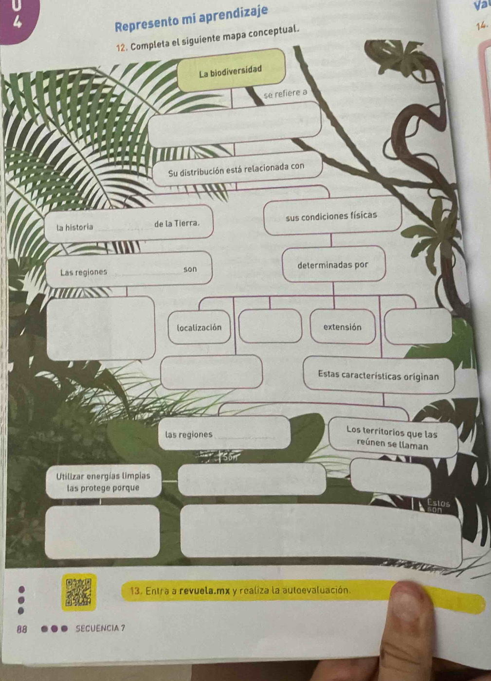 Represento mi aprendizaje 
Va 
12. Completa el siguiente mapa conceptual. 
14. 
La biodiversidad 
se refiere a 
Su distribución está relacionada con 
la historia de la Tierra. sus condiciones físicas 
Las regiones son determinadas por 
localización extensión 
Estas características originan 
las regiones 
Los territorios que las 
reúnen se llaman 
Utilizar energías limpias 
las protege porque 
15 
13. Entra a revuela.mx y realiza la auloevaluación. 
88 SECUENCIA 7