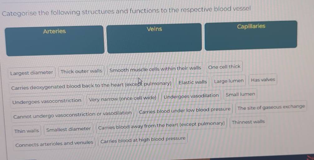 Categorise the following structures and functions to the respective blood vessel 
Arteries Veins Capillaries 
Largest diameter Thick outer walls Smooth muscle cells within their walls One cell thick 
Carries deoxygenated blood back to the heart (except pulmonary) Elastic walls Large lumen Has valves 
Undergoes vasoconstriction Very narrow (once cell wide) Undergoes vasodilation Small lumen 
Cannot undergo vasoconstriction or vasodilation Carries blood under low blood pressure The site of gaseous exchange 
Thin walls Smallest diameter Carries blood away from the heart (except pulmonary) Thinnest walls 
Connects arterioles and venules Carries blood at high blood pressure