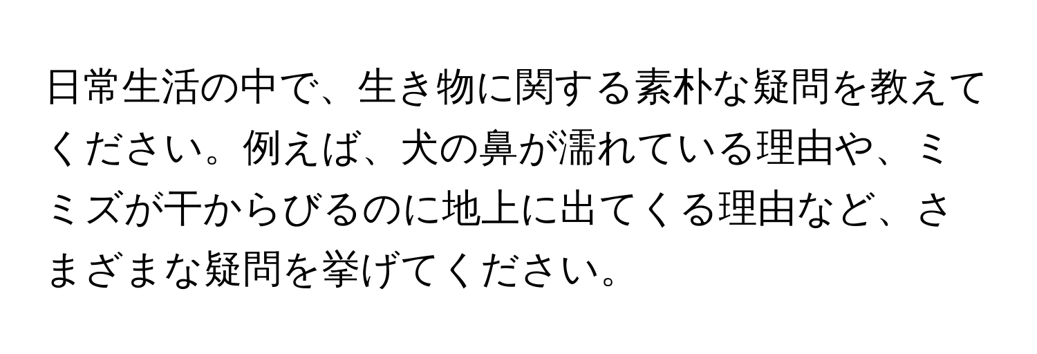 日常生活の中で、生き物に関する素朴な疑問を教えてください。例えば、犬の鼻が濡れている理由や、ミミズが干からびるのに地上に出てくる理由など、さまざまな疑問を挙げてください。