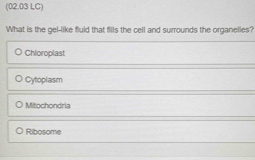 (02.03 LC)
What is the gel-like fluid that fills the cell and surrounds the organelles?
Chloroplast
Cytoplasm
Mitochondria
Ribosome