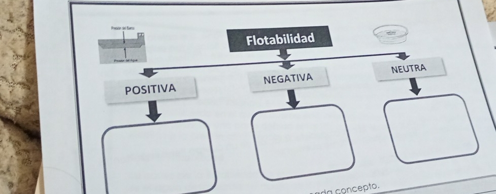 Presón del Sano
Flotabilidad
NEUTRA
POSITIVA NEGATIVA
da concepto.