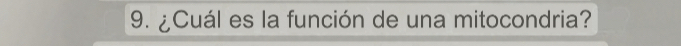 ¿Cuál es la función de una mitocondria?