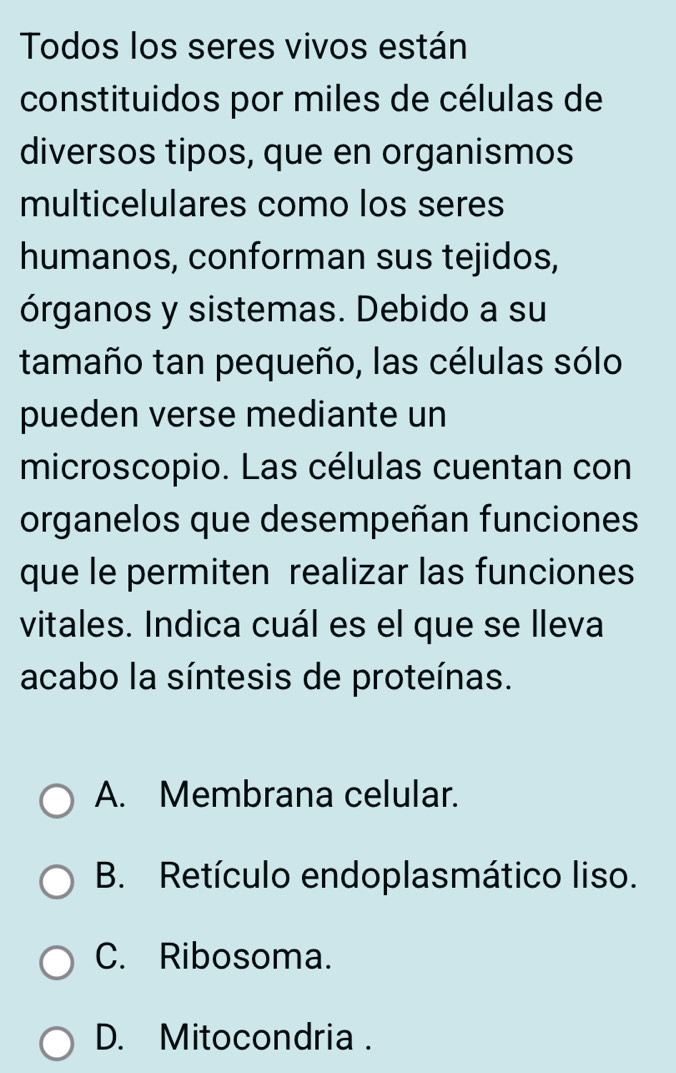 Todos los seres vivos están
constituidos por miles de células de
diversos tipos, que en organismos
multicelulares como los seres
humanos, conforman sus tejidos,
órganos y sistemas. Debido a su
tamaño tan pequeño, las células sólo
pueden verse mediante un
microscopio. Las células cuentan con
organelos que desempeñan funciones
que le permiten realizar las funciones
vitales. Indica cuál es el que se lleva
acabo la síntesis de proteínas.
A. Membrana celular.
B. Retículo endoplasmático liso.
C. Ribosoma.
D. Mitocondria .