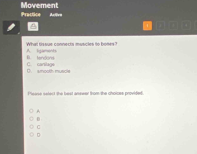 Movement
Practice Active
1
What tissue connects muscles to bones?
A. ligaments
B. tendons
C. cartilage
D. smooth muscle
Please select the best answer from the choices provided.
A
B
C
D