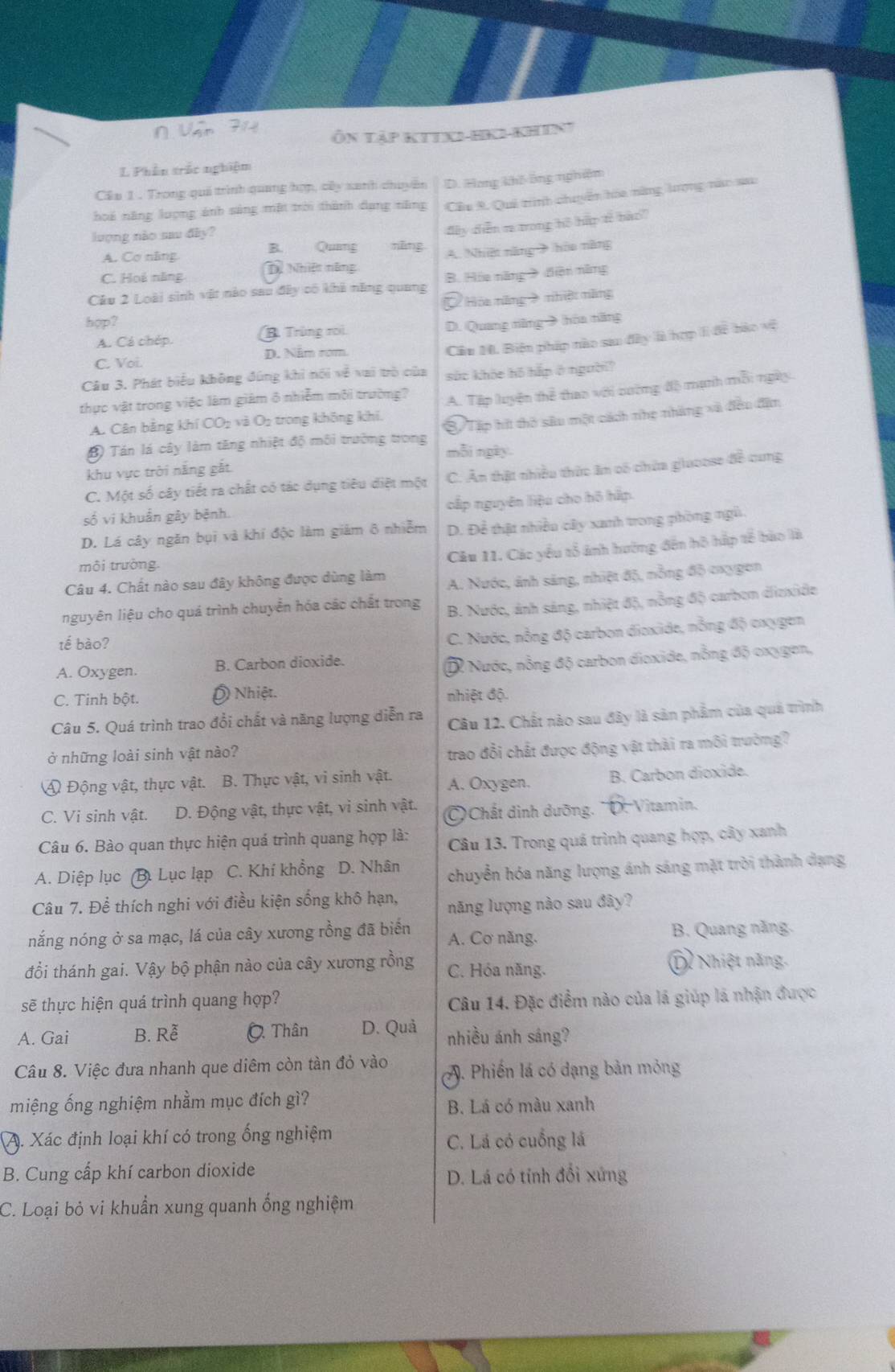 Ôn ập KTTXi-HKi-khint
L Phần trấc nghiệm
Cầu 1 . Trong quả trình quang hợp, cây xanh chuyên D. Hang khô ông nghiệm
hoá năng lượng ảnh sảng mặt trời thành dụng năng Câu 9. Quả trình chuyển hóa năng lượng nàc sau
lượng nào sau đây?
A. Cơ năng B. Quang hăng đây diễn ra trong hộ hập tế bào?
C. Hoả năng Dề Nhiệt năng A. Nhiệt năng  hòa năng
Câu 2 Loài sinh vật nào sau đây có khả năng quang B. Hia năng 9 diện năng
Hóa năng 9 nhiệ năng
hợp?
A. Cá chép. (B. Trùng roi D. Quang năng→ hóa năng
Câu M. Biện pháp nào sao đây là hợp l đề bào vệ
C. Voi. D. Năm rom
Câu 3. Phát biểu không đúng khi nói về vai trò của súc khỏe hồ hắp ở người?
thực vật trong việc làm giám ô nhiễm môi trường?
A. Cân bằng khí CO2 và O2 trong không khí, A. Tập luyện thể thao với cường độ mạnh mỗi ngày
B Tán lá cây làm tăng nhiệt độ môi trường trong S/ Tập hit thờ sâu một cách nhẹ nháng xà đều đặm
mỗi ngày.
khu vực trời năng gắt
C. Một số cây tiết ra chất có tác dụng tiêu diệt một C. Ăn thật nhiều thức ăm có chứa giuoose đề cung
số vi khuẩn gây bệnh. cấp nguyên liệu cho hồ hấp
D. Lá cây ngăn bụi và khí độc làm giảm ô nhiễm D. Để thật nhiều cây xanh trong phòng ngũ.
môi trường.
Câu 11. Các yểu tổ ảnh hường đến hô hấp tế bào là
Câu 4. Chất nào sau đây không được dùng làm A. Nước, ảnh sáng, nhiệt độ, nỗng độ cxygen
nguyên liệu cho quá trình chuyển hóa các chất trong
B. Nước, ảnh sáng, nhiệt độ, nồng độ carbon dizxide
tế bào?
C. Nước, nổng độ carbon dioxide, nỗng độ cxygen
A. Oxygen. B. Carbon dioxide.
D Nước, nỗng độ carbon dioxide, nỗng độ oxygen,
C. Tinh bột. Ô Nhiệt. nhiệt độ.
Câu 5. Quá trình trao đổi chất và năng lượng diễn ra Câu 12. Chất nào sau đây là sản phẩm của quả trình
ở những loài sinh vật nào?
trao đổi chất được động vật thải ra môi trường?
A Động vật, thực vật. B. Thực vật, vi sinh vật. A. Oxygen. B. Carbon dioxide.
C. Vi sinh vật. D. Động vật, thực vật, vi sinh vật.  Chất dinh dưỡng. 'D. Vitamin.
Câu 6. Bào quan thực hiện quá trình quang hợp là: Câu 13. Trong quá trình quang hợp, cây xanh
A. Diệp lục : (B. Lục lạp C. Khí khổng D. Nhân chuyển hóa năng lượng ánh sáng mặt trời thành dạng
Câu 7. Để thích nghi với điều kiện sống khô hạn, năng lượng nào sau đây?
nắng nóng ở sa mạc, lá của cây xương rồng đã biến A. Cơ năng. B. Quang năng.
đổi thánh gai. Vậy bộ phận nào của cây xương rồng C. Hóa năng. D Nhiệt năng.
sẽ thực hiện quá trình quang hợp? Câu 14. Đặc điểm nào của lá giúp lá nhận được
A. Gai B. Rễ O. Thân D. Quả nhiều ánh sáng?
Câu 8. Việc đưa nhanh que diêm còn tàn đỏ vào A. Phiến lá có dạng bản mỏng
miệng ống nghiệm nhầm mục đích gì?
B. Lá có màu xanh
A. Xác định loại khí có trong ống nghiệm
C. Lá có cuống lá
B. Cung cấp khí carbon dioxide
D. Lá có tỉnh đổi xứng
C. Loại bỏ vi khuẩn xung quanh ống nghiệm