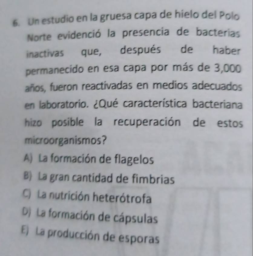 Un estudio en la gruesa capa de hielo del Polo
Norte evidenció la presencia de bacterias
inactivas que, después de haber
permanecido en esa capa por más de 3,000
años, fueron reactivadas en medios adecuados
en laboratorio. ¿Qué característica bacteriana
hizo posible la recuperación de estos
microorganismos?
A) La formación de flagelos
B) La gran cantidad de fimbrias
C) La nutrición heterótrofa
D) La formación de cápsulas
E) La producción de esporas