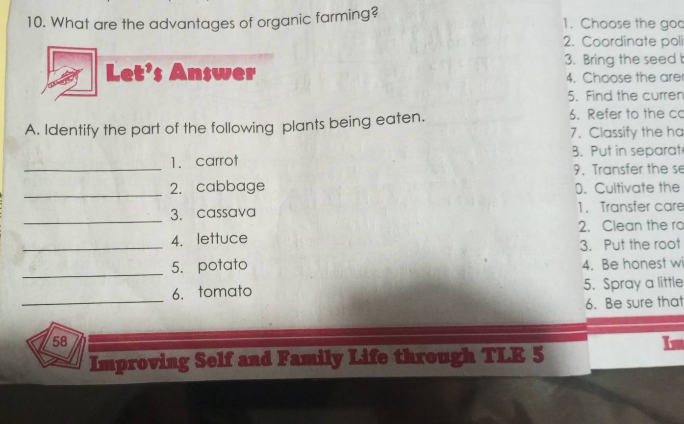 What are the advantages of organic farming? 1. Choose the goo 
2. Coordinate poli 
Let’s Answer 
3. Bring the seed 
4. Choose the are 
5. Find the curren 
A. Identify the part of the following plants being eaten. 
6. Refer to the c 
7. Classify the ha 
8. Put in separat 
_1. carrot 
9. Transfer the se 
_ 
2. cabbage 0. Cultivate the 
_ 
3. cassava 1. Transfer care 
2. Clean the ro 
_ 
4. lettuce 
3. Put the root 
_5. potato 4. Be honest wi 
_ 
6. tomato 5. Spray a little 
6. Be sure that 
58 
I 
Improving Self and Family Life through TLE 5