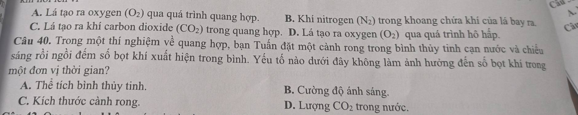 A. Lá tạo ra oxygen (O_2) qua quá trình quang hợp. B. Khí nitrogen (N_2) trong khoang chứa khí của lá bay ra. Câu
C. Lá tạo ra khí carbon dioxide (CO_2) trong quang hợp. D. Lá tạo ra oxygen (O_2) qua quá trình hô hấp.
Câu 40. Trong một thí nghiệm về quang hợp, bạn Tuấn đặt một cảnh rong trong bình thủy tinh cạn nước và chiều
sáng rồi ngồi đếm số bọt khí xuất hiện trong bình. Yếu tố nào dưới đây không làm ảnh hưởng đến số bọt khí trong
một đơn vị thời gian?
A. Thể tích bình thủy tinh. B. Cường độ ánh sáng.
C. Kích thước cành rong. D. Lượng CO_2 trong nước.