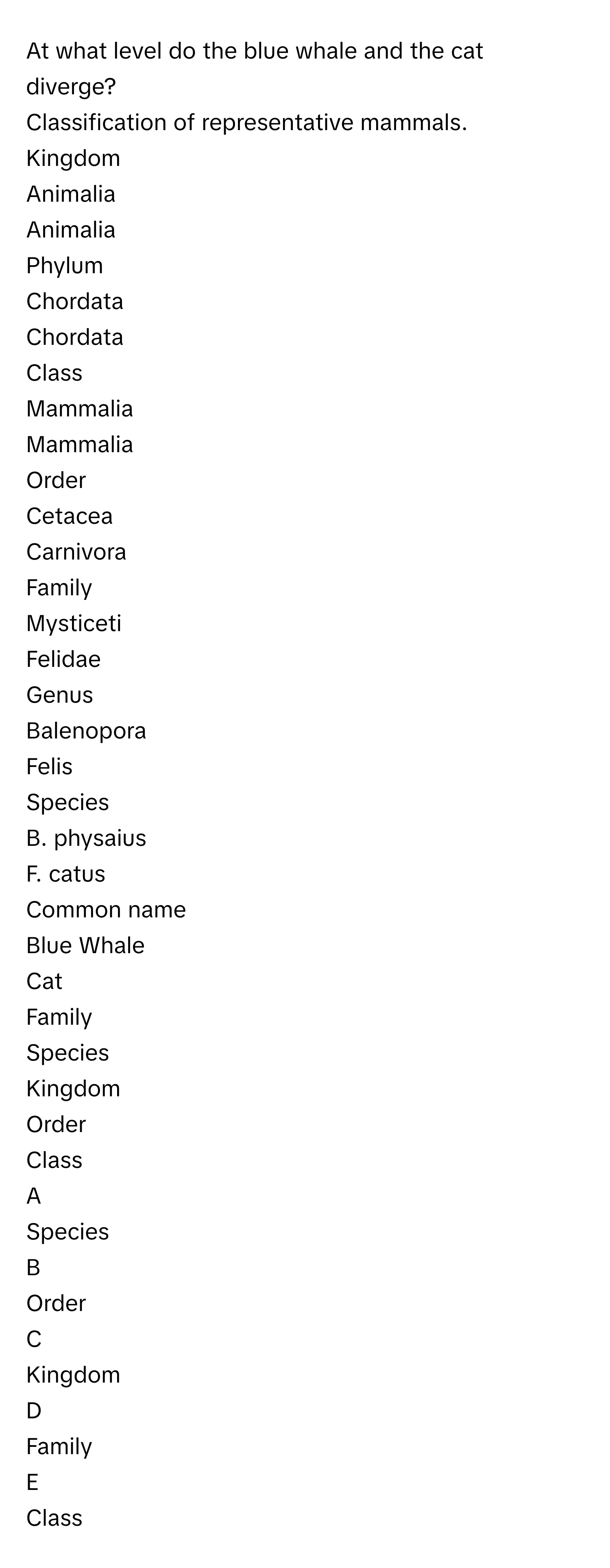 At what level do the blue whale and the cat diverge? 
Classification of representative mammals. 
Kingdom 
Animalia 
Animalia 
Phylum 
Chordata 
Chordata 
Class 
Mammalia 
Mammalia 
Order 
Cetacea 
Carnivora 
Family 
Mysticeti 
Felidae 
Genus 
Balenopora  
Felis 
Species 
B. physaius 
F. catus 
Common name 
Blue Whale 
Cat 

Family
Species
Kingdom
Order
Class

A  
Species 


B  
Order 


C  
Kingdom 


D  
Family 


E  
Class