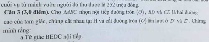 cuối vụ từ mảnh vườn người đó thu được là 252 triệu đồng. 
Câu 3 (3,0 điểm). Cho △ ABC nhọn nội tiếp đường tròn (O), BD và CE là hai đường 
cao của tam giác, chúng cắt nhau tại H và cắt đường tròn (O) lần lượt ở D' và E'. Chứng 
minh rằng: 
a.Tứ giác BEDC nội tiếp.