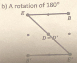 A rotation of 180°